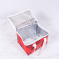 Tyvek Insulated Lunch Bag